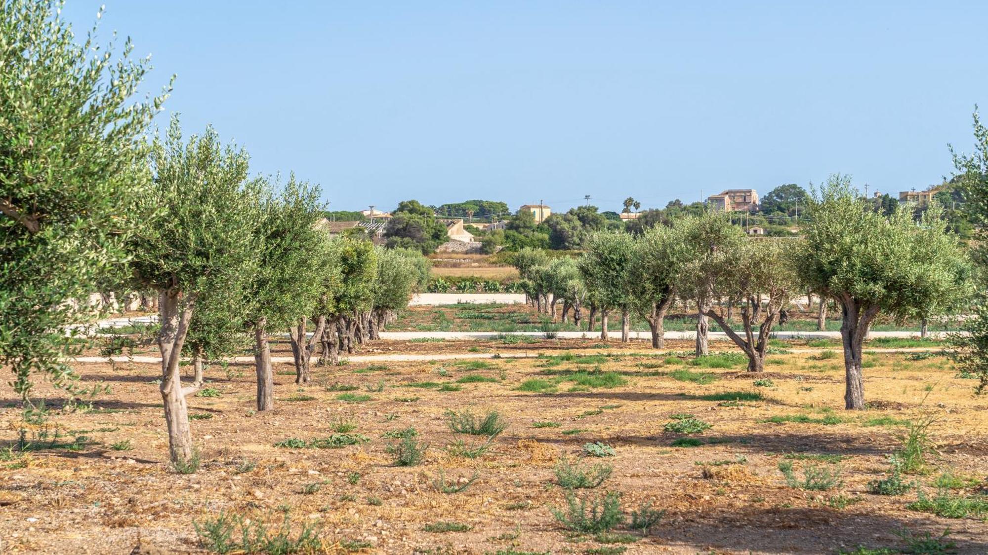 מלון סירקוזה Minareto מראה חיצוני תמונה